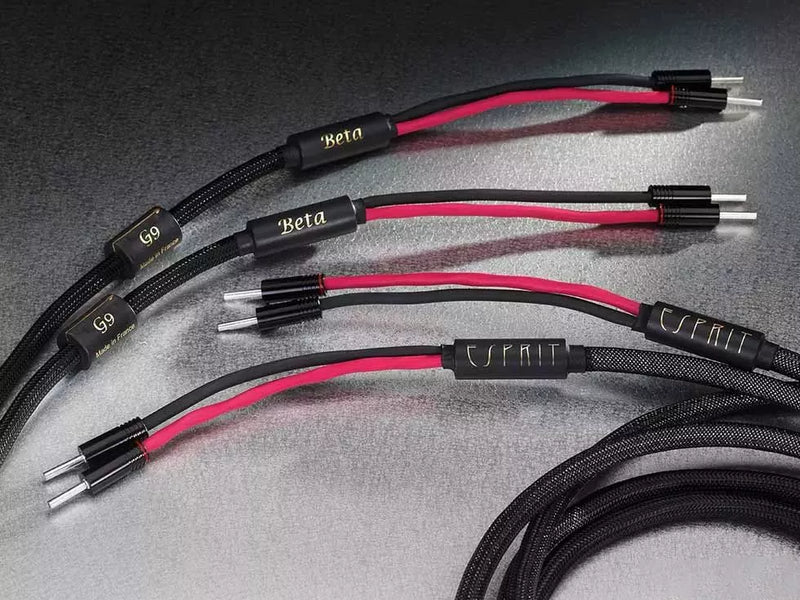 Cables enceintes Esprit Beta G9