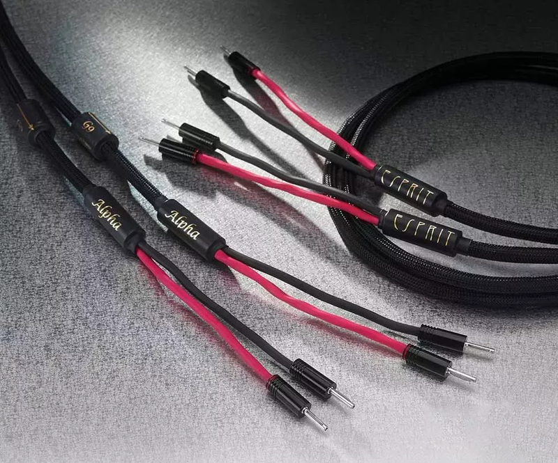 Câbles enceintes Esprit Audio