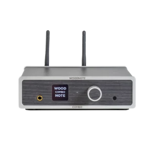 Face avant amplificateur connecté Lindemann Woodnote Combo