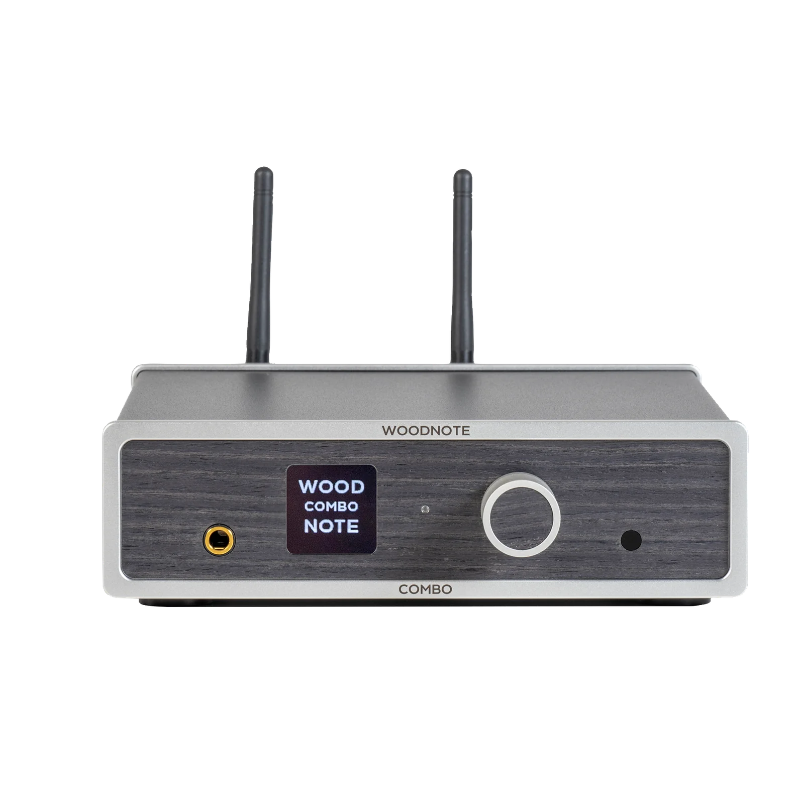 Face avant amplificateur connecté Lindemann Woodnote Combo