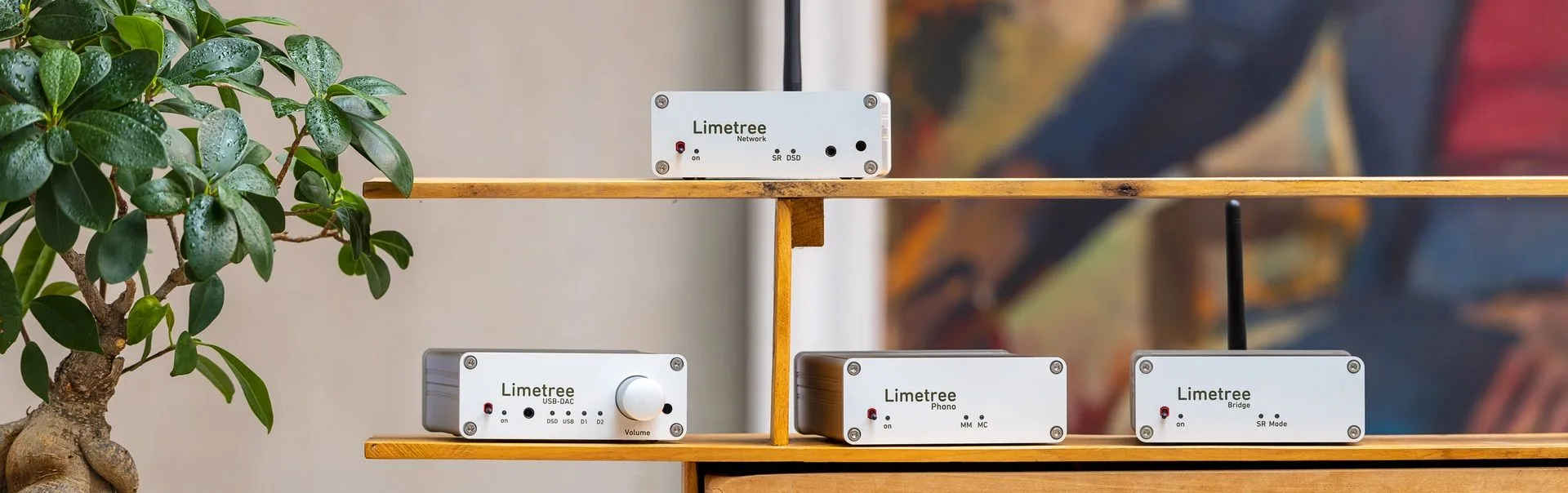 Gamme Lindemann Limetree : modules hi-fi compacts, préampli phono et convertisseur USB