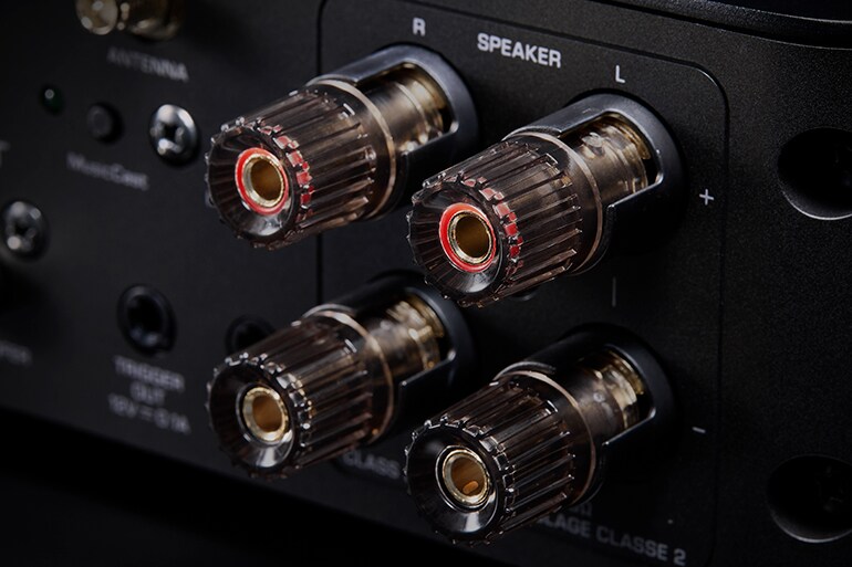 Bornes d'enceintes plaquées or du Yamaha WXA-70A
